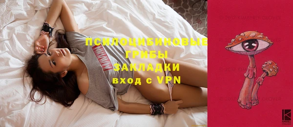 крисы Киреевск