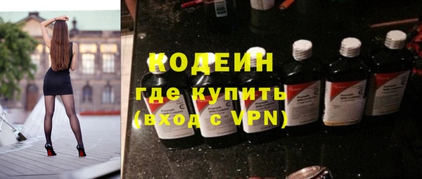 сатива Кинешма