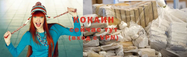 сатива Кинешма