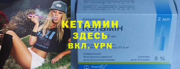 сатива Кинешма
