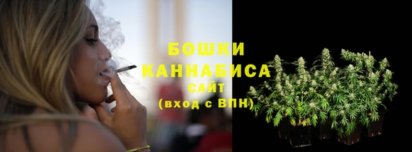 сатива Кинешма