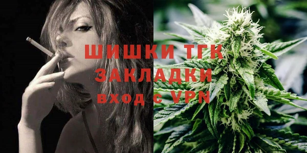 сатива Кинешма