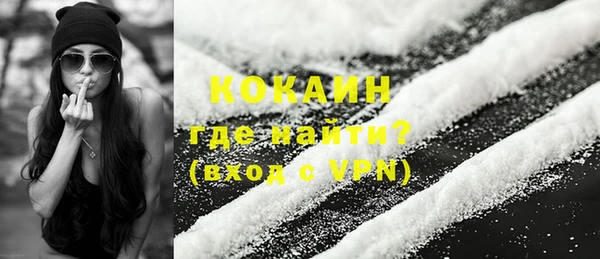 сатива Кинешма
